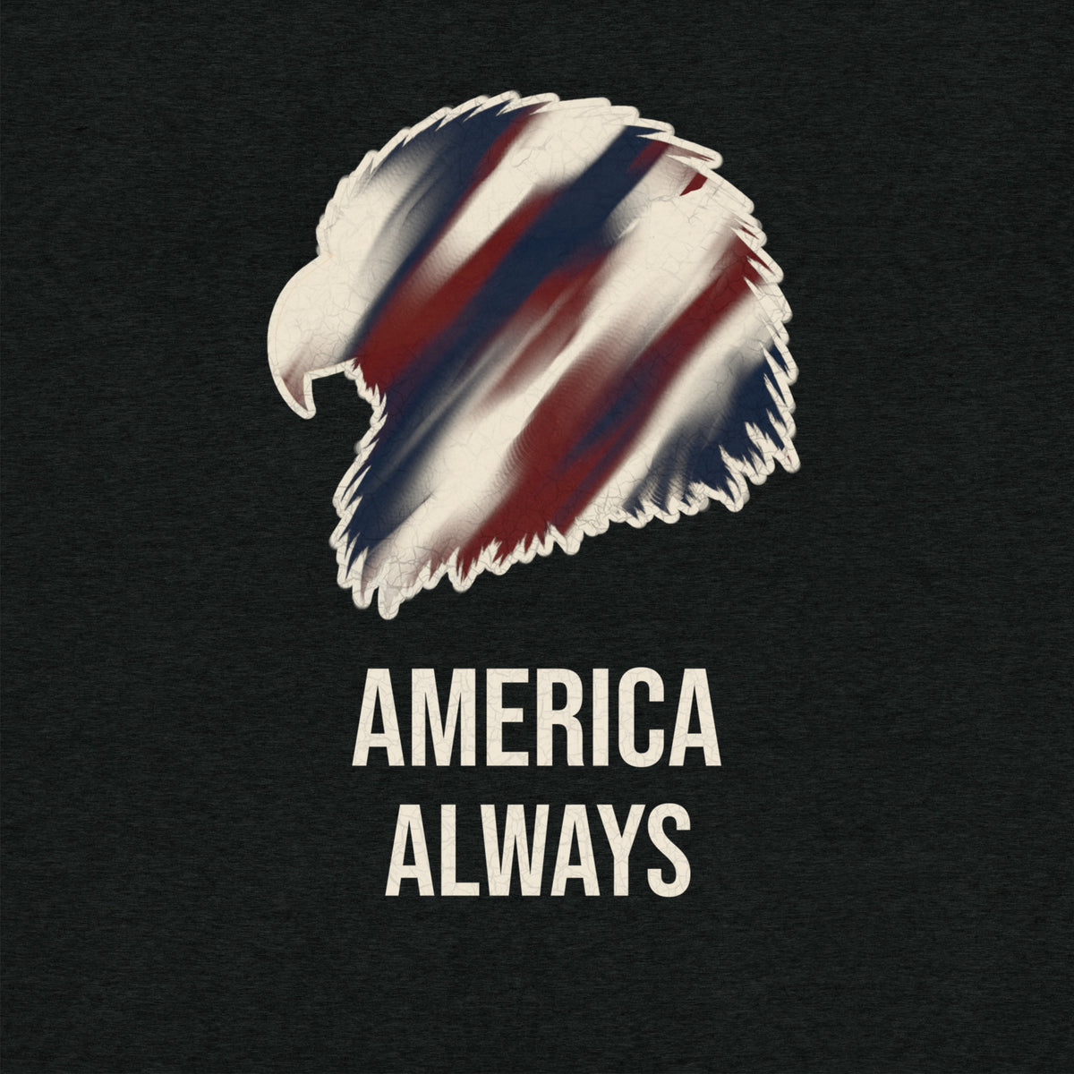 Men's Black America Always red, white and blue eagle t-shirt