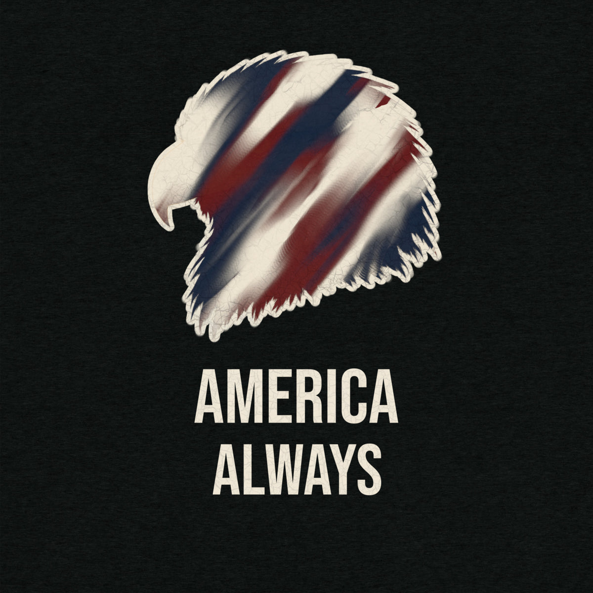 Men's Black America Always red, white and blue eagle t-shirt